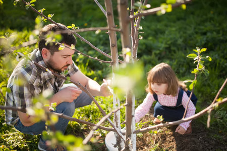 Man and his little daughter covering the tree with white paint to protect against rodents, spring garden work, whitewashed treesの写真素材