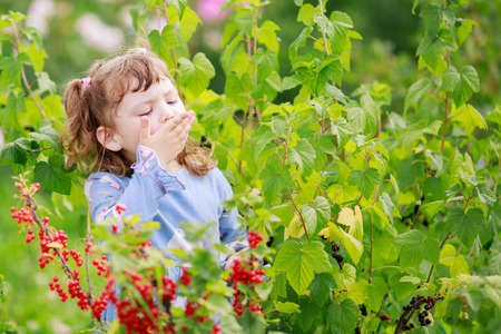 Adorable happy little girl at the garden, picking and eating red currant from the bush and smiling, childhood at the farm, healthy food from the gardenの写真素材