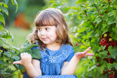 Adorable happy little girl at the garden, picking and eating red currant from the bush and smiling with dirty face and hands, childhood at the farm.の写真素材