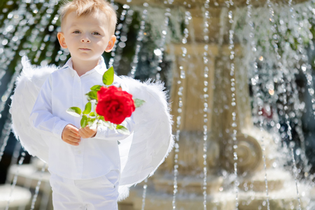Adorable toddler boy in angel costume holding red rose. Saint Valentines day.の写真素材