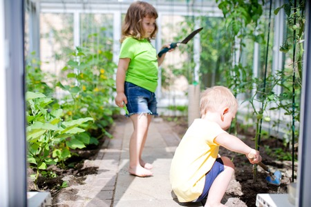 Cute toddler boy and girl (brother and sister or friends) working in the greenhouse, digging with little shovel.の写真素材