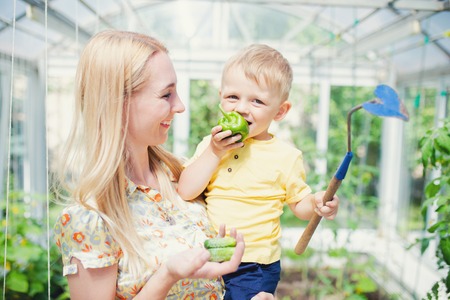 Mother and her toddler son working in the greenhouse together, happy family.の写真素材