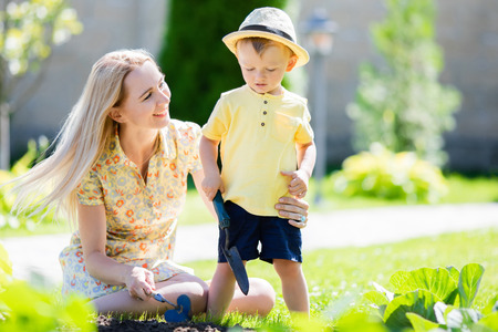 Cute toddler boy working in the gardenwith his mother, harvest of cabbage. Countryside, little farmer.の写真素材
