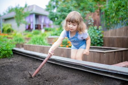 Little girl working in the garden at summer, cultivating ground, seasonal works at the farmの写真素材