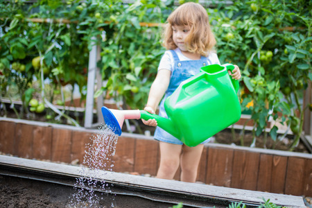 Adorable girl watering plants in the garden at summer, seasonal garden works. Little gardenerの写真素材
