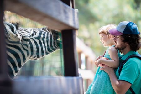 Zoo visitors little girl and her father feeding zebra through the fence at the petting zoo, close up.の写真素材