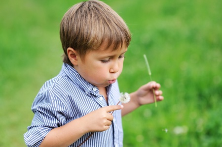Portrait of toddler boy blowing dandelion outdoorsの写真素材