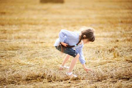 Little girl picking up dry straws on a fieldの写真素材