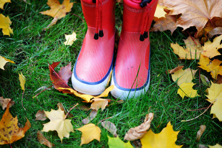 Autumn fall concept with colorful leaves and rain boots outside. Close up of kid n feet walking in...