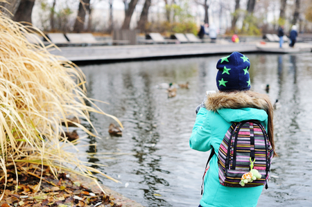 Little kid  girl in colorful autumn clothes making photo or video  of ducks  in the lake with smartphone in the city parkon beauty dayの写真素材
