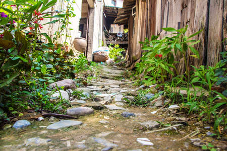 lane in the villageのeditorial素材