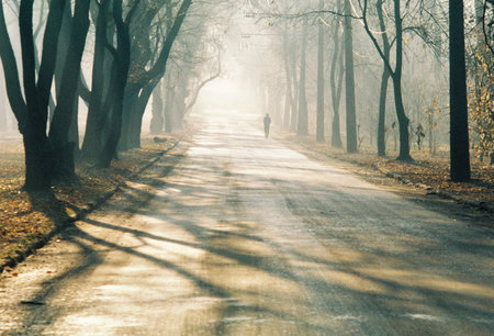 Road with running man in foggy city park with arch of trees backlit with morning sunbeams in autumn, scanned filmの写真素材