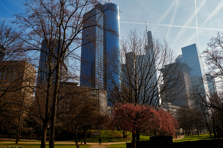 Frankfurt am Main, Germany - March 16, 2017: Park view with red tree at Taunusanlage with skyscrapers skyline on the background against the blue sky with planes contrailsのeditorial素材
