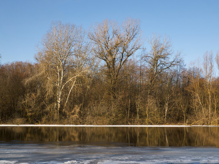 River with melting ice with snowy shore and leafless dingy trees and bushes on other side under the clear blue skyの写真素材