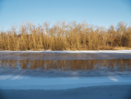 Partially frozen river with aphyllous yellow trees on other side under the blue skyの写真素材
