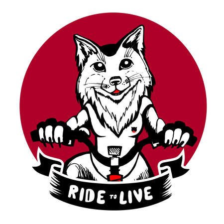 pleased fox riding a bicycle, illustration T-shirtのイラスト素材