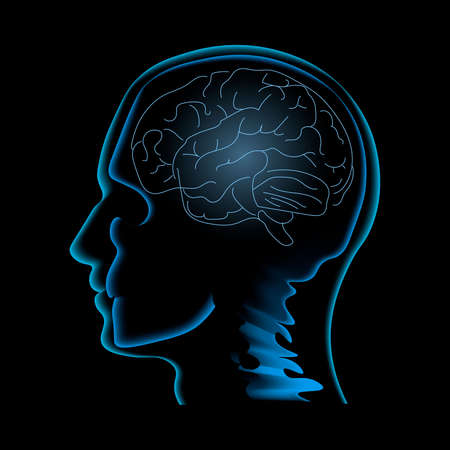 Neuroscience vector illustration. Image of the human profile with skull and brain inside it isolated on the black backgrondのイラスト素材