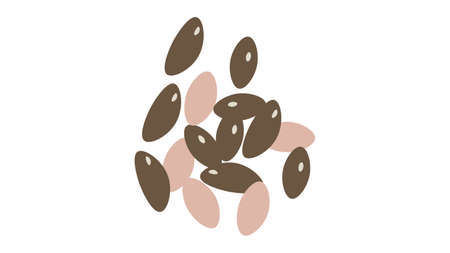 Chia seeds isolated vector illustrationのイラスト素材