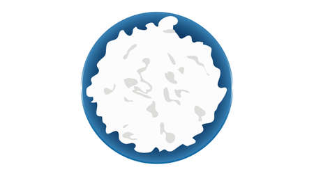Cottage cheese isolated vector illustrationのイラスト素材