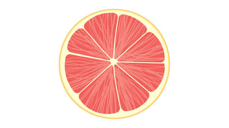 Grapefruit isolated on white vector illustrationのイラスト素材