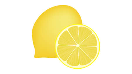 Lemon isolated on white vector illustrationのイラスト素材