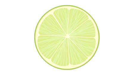 Cut lime isolated vector illustrationのイラスト素材