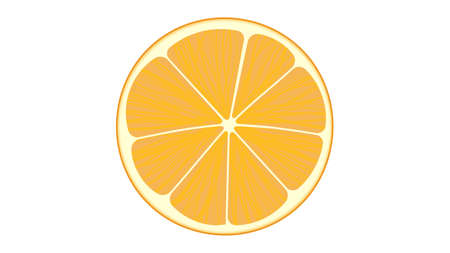 Cut orange fruit isolated vector illustrationのイラスト素材