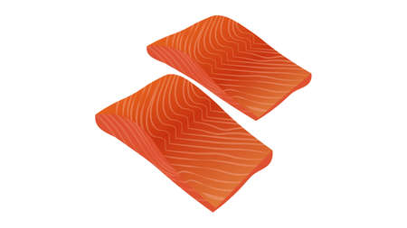Salmon fish fillet vector illustrationのイラスト素材