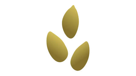 Pumpkin seeds isolated vector illustrationのイラスト素材