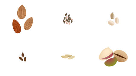 Seeds and nuts set vector illustrationのイラスト素材