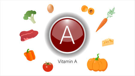 Vitamin A sources vector illustrationのイラスト素材