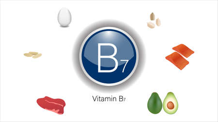 Vitamin B7 sources vector illustrationのイラスト素材