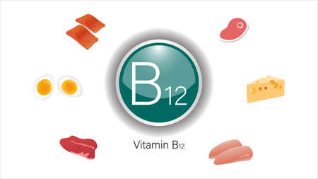 Vitamin B12 sources vector illustrationのイラスト素材