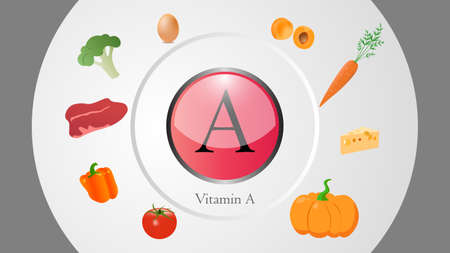 Vitamin A sources vector illustrationのイラスト素材