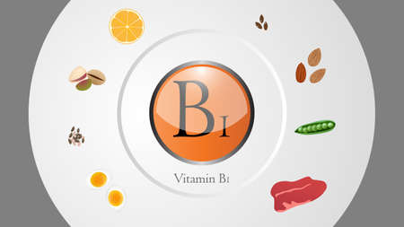 Vitamin B1 sources vector illustrationのイラスト素材