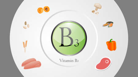 Vitamin B3 sources vector illustrationのイラスト素材