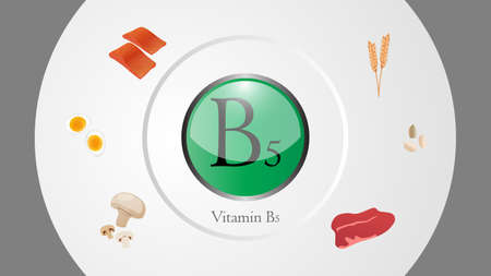 Vitamin B5 sources vector illustrationのイラスト素材