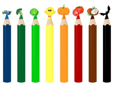 Set of color pencils vectorのイラスト素材