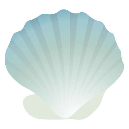 Seashell icon vector designのイラスト素材