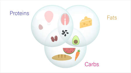 Foods icons vector design. Macro nutrients in different foods vector illustrationのイラスト素材