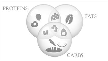 Foods icons vector design. Macro nutrients in different foods vector illustrationのイラスト素材