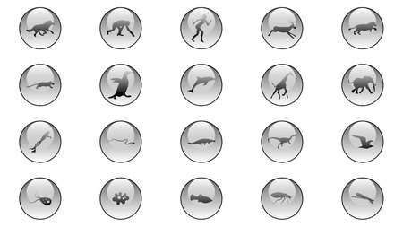 Set of animals icons vector design. Animals icon collection. Evolution illustrationのイラスト素材