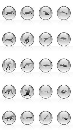 Set of animals icons vector design. Animals icon collection. Evolution illustrationのイラスト素材