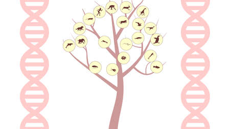 Set of animals icons vector design. Animals icon collection. Evolution illustrationのイラスト素材