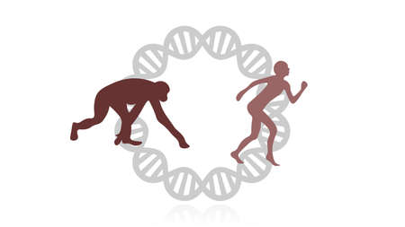 Evolution of species illustration. Evolution vector designのイラスト素材
