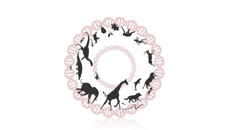Evolution of species illustration. Evolution vector designのイラスト素材