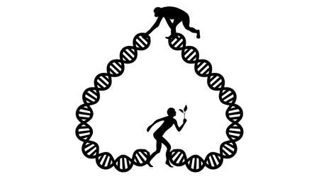 Evolution vector illustration. Human and chimpanzee genome identicalのイラスト素材