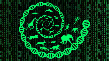 Evolution theory illustration vector design. Evolution of species. DNA - the molecule of lifeのイラスト素材