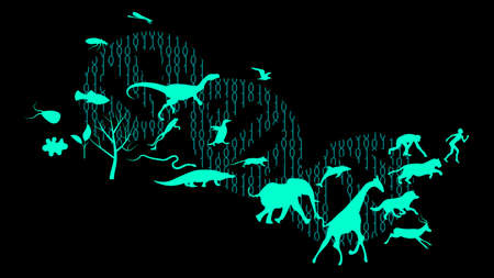 Evolution theory illustration vector design. Evolution of species. DNA - the molecule of lifeのイラスト素材