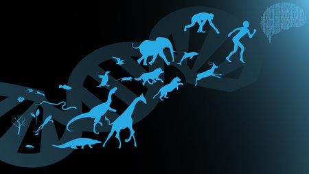 Evolution theory illustration vector design. Evolution of species. DNA - the molecule of life
